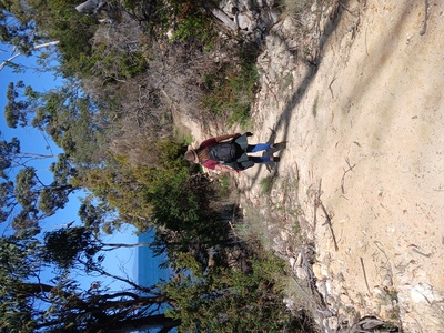 bush track to the Eastcoaster Resort